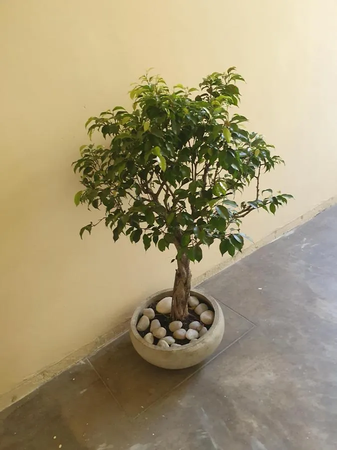 Cheerful One Bedroom Apartment Kandy Hotel apartamentowy